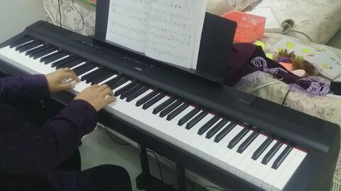 成人入门钢琴歌曲视频,热门入门歌曲视频解析