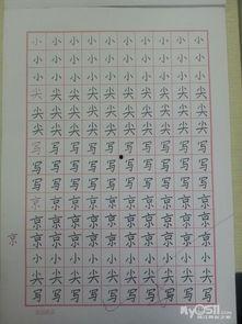 成人书法仿写大全视频,领略传统艺术之美