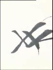 成人练字实录视频在线观看,成人练字实录视频深度解析