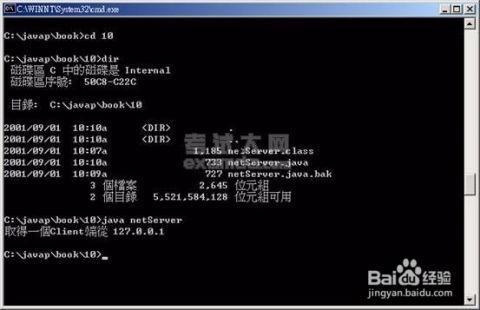 编程 入门成人教程视频,编程入门教程视频精华概览