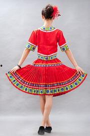 成人苗族演出视频大全集,成人演出视频大全集精彩回顾