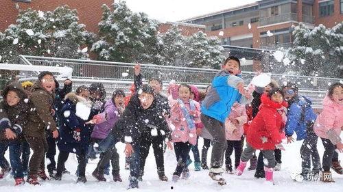 成人打雪仗视频,成人打雪仗欢乐瞬间回顾
