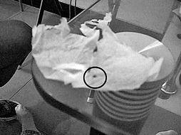 成人打虫小窍门视频,成人打虫小窍门视频揭秘